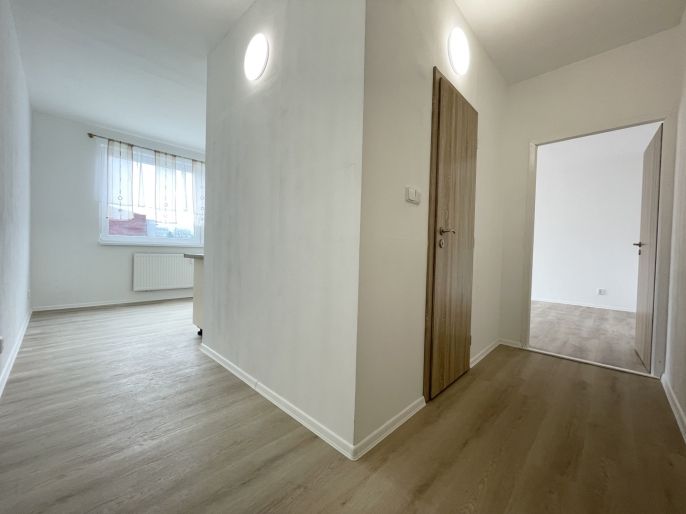 Pronájem, Byt 1+1, Sokolov