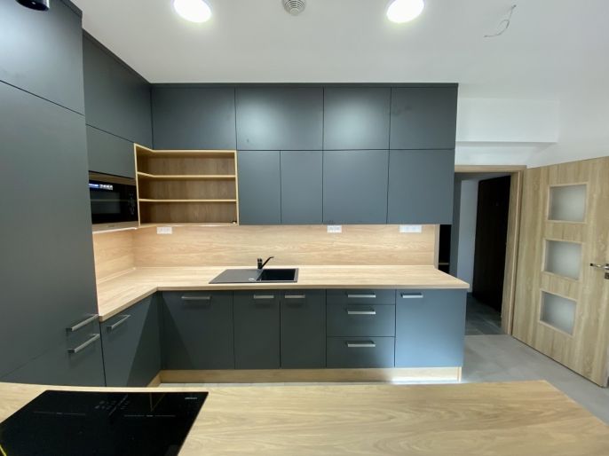 Pronájem, Byt 1+kk, Louny