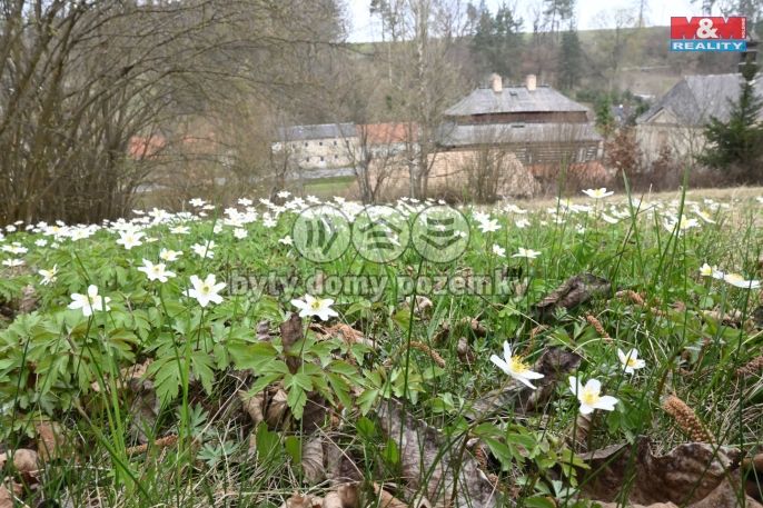 Prodej, Chalupa, Dolní Krupá