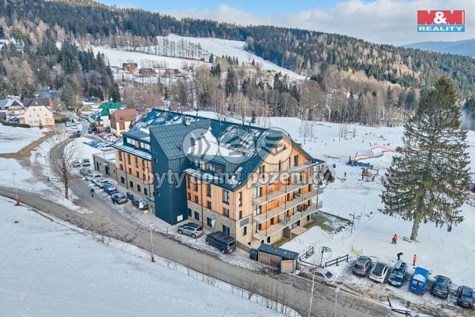 Prodej, Byt 1+kk, Janské Lázně