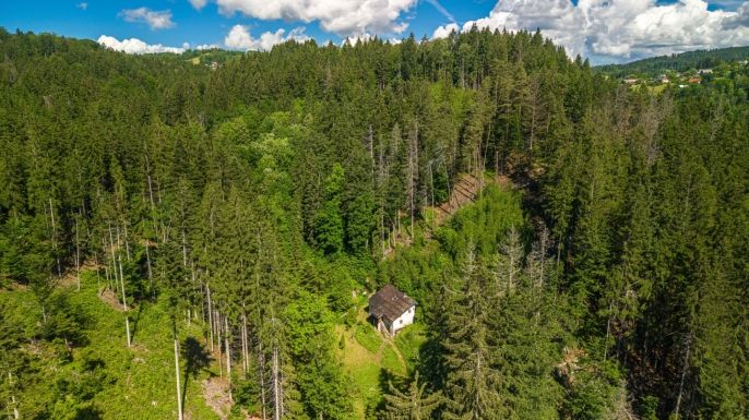Prodej, Les, Jablonec nad Jizerou