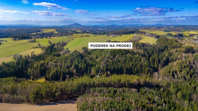 Prodej, Les, Všelibice