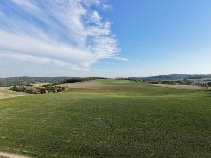 Prodej, Pole, Prostějovičky