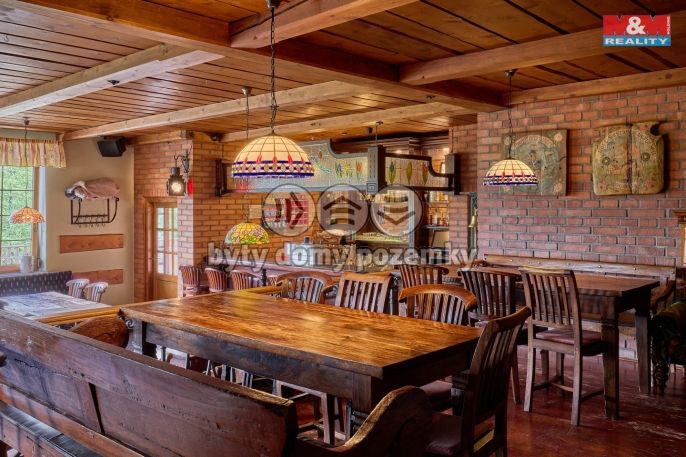 Prodej, Hotel, penzion, Vrchlabí