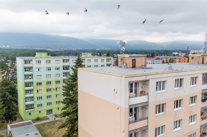 Prodej, Byt 2+1, Duchcov