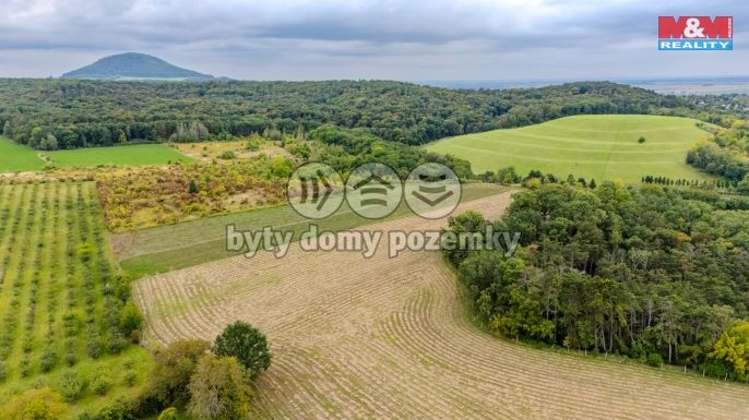 Prodej, Pole, Roudnice nad Labem