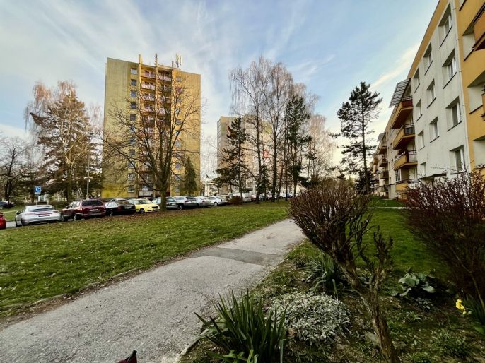 Prodej, Byt 2+1, Orlová