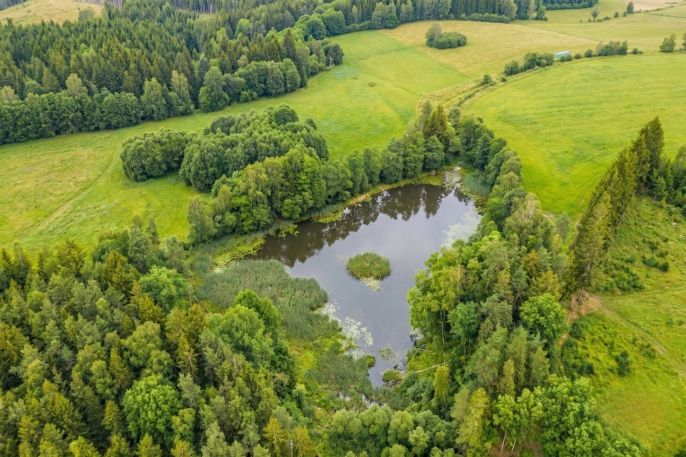 Prodej, Vodní plocha, Horní Ves