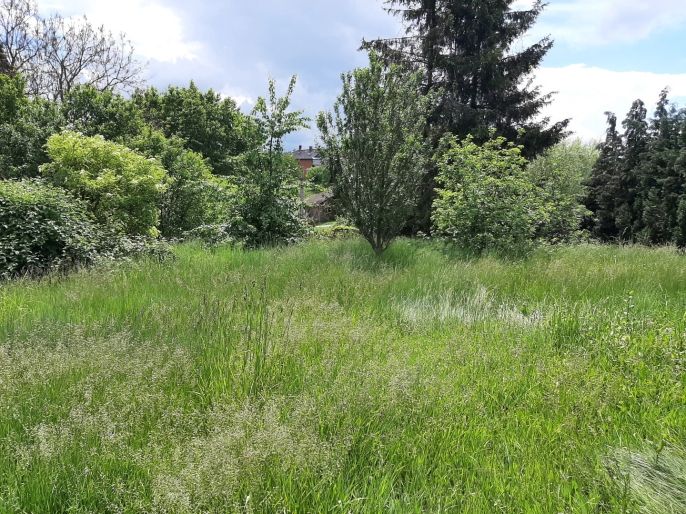 Prodej, Rodinný dům, Bouzov