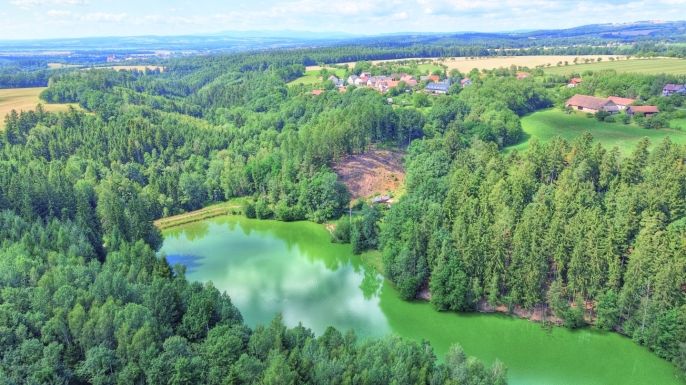 Prodej, Les, Ohnišov