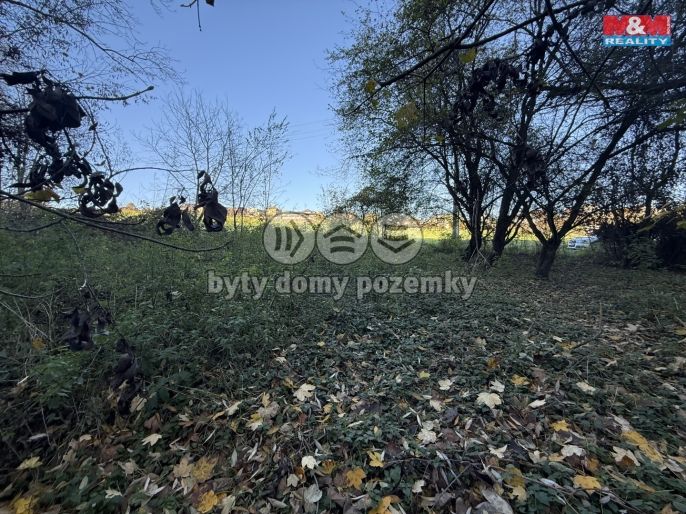 Prodej, Les, Velká Polom