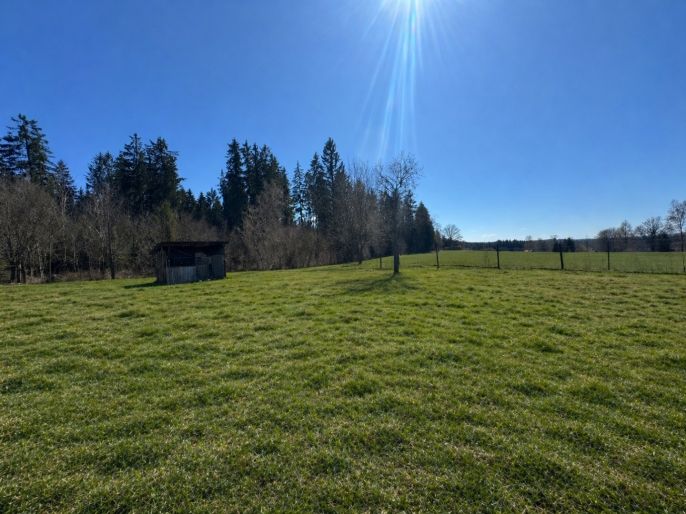 Prodej, Rodinný dům, Šindelová