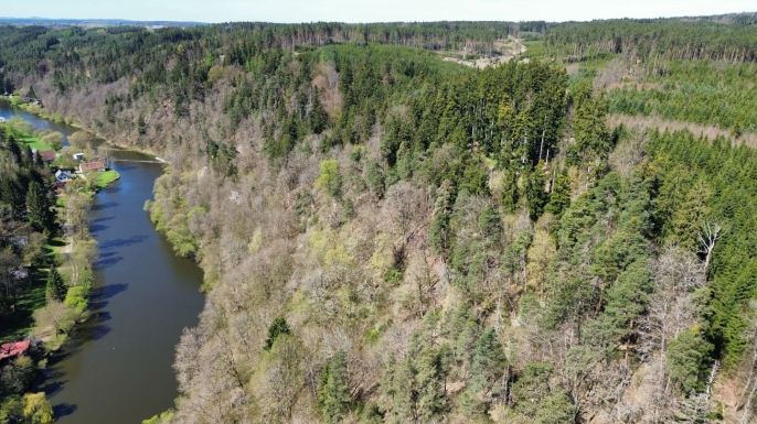 Prodej, Les, Řepeč