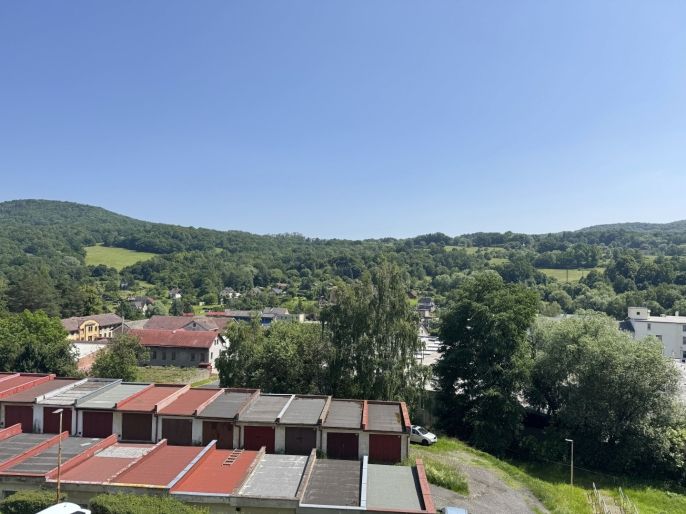 Pronájem, Byt 1+1, Jílové