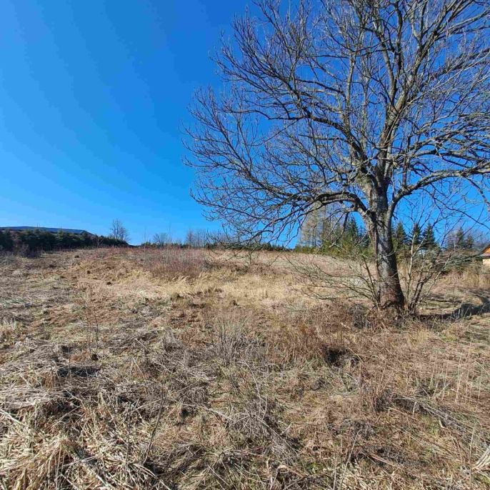 Prodej, Pozemek k bydlení, Dětřichov nad Bystřicí