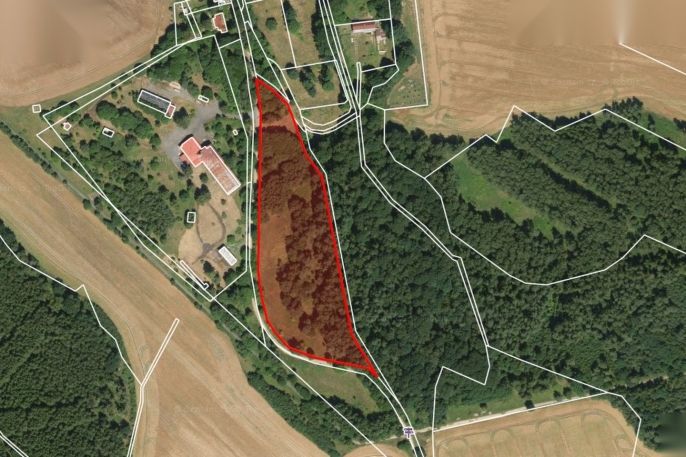 Prodej, Ostatní, Lipová