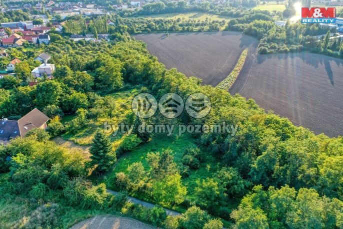 Prodej, Zahrada, Plzeň