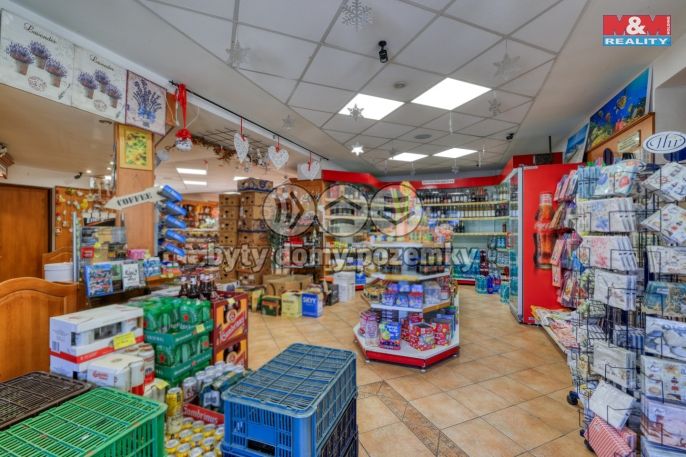 Pronájem, Obchod a služby, Železná Ruda