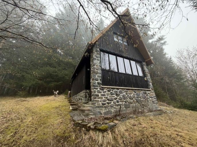 Prodej, Chata, Borovnice