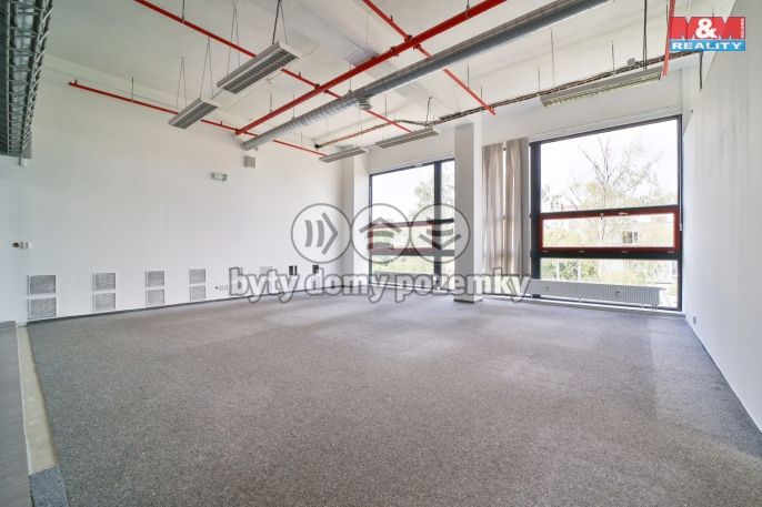 Pronájem, Obchod a služby, Plzeň