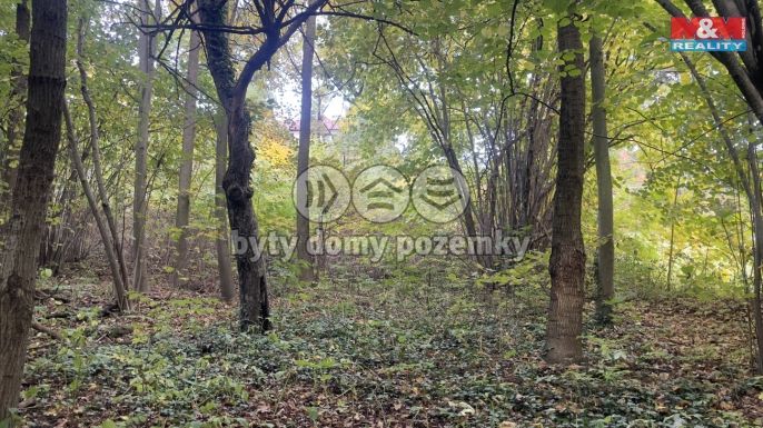 Prodej, Pozemek k bydlení, Tábor