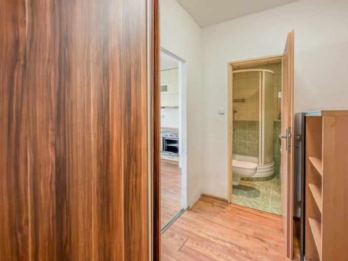 Prodej, Byt 1+kk, Orlová