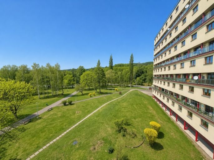 Prodej, Byt 2+1, Litvínov