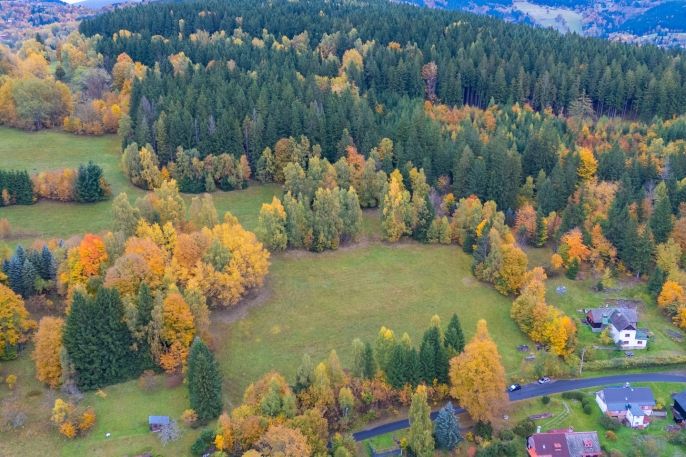 Prodej, Louka, Tanvald