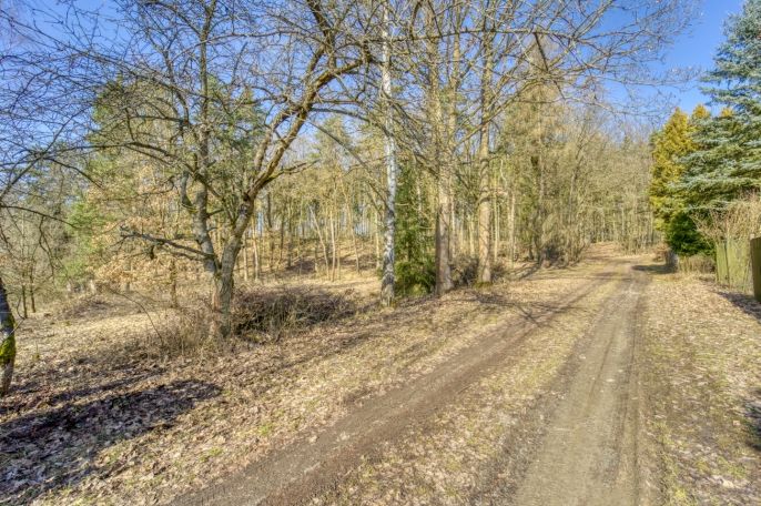 Prodej, Zahrada, Kunějovice