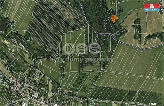 Prodej, Les, Borotín