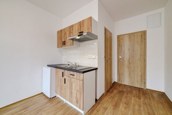 Pronájem, Byt 1+kk, Mariánské Lázně