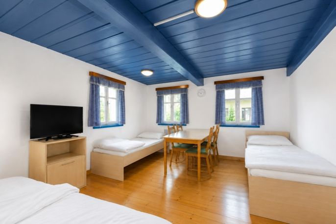 Prodej, Hotel, penzion, Sněžné