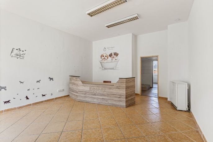 Prodej, Obchod a služby, Louny