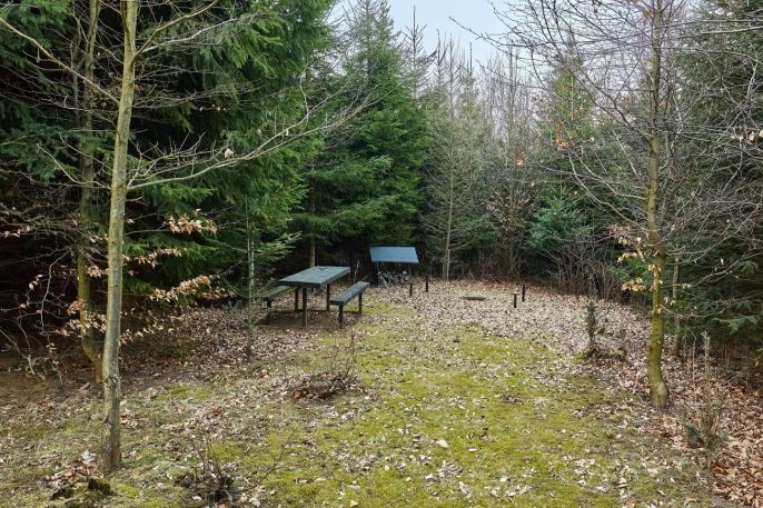 Prodej, Ostatní, Královec