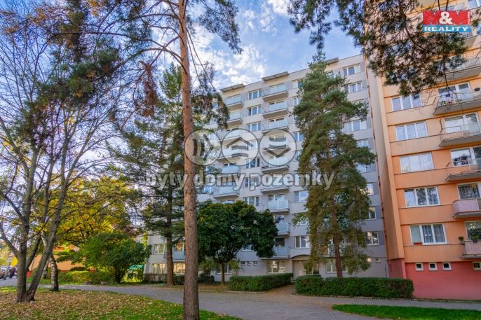 Prodej, Byt 3+1, České Budějovice