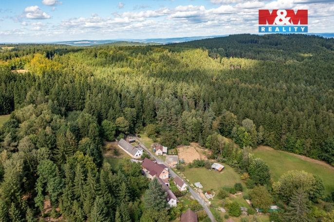 Prodej, Chalupa, Plánice