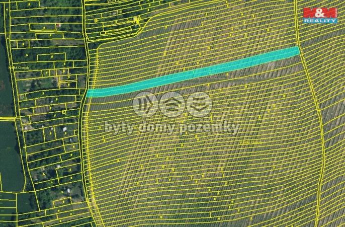 Prodej, Vinice, Kyjov