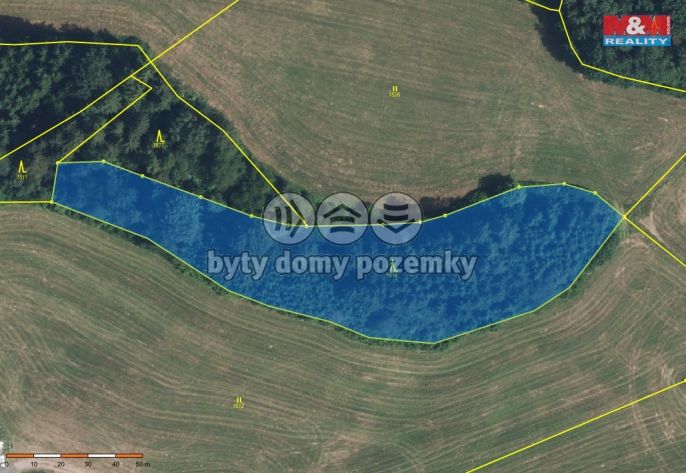 Prodej, Les, Vidochov