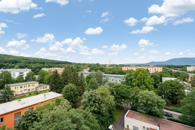 Prodej, Byt 1+kk, Teplice