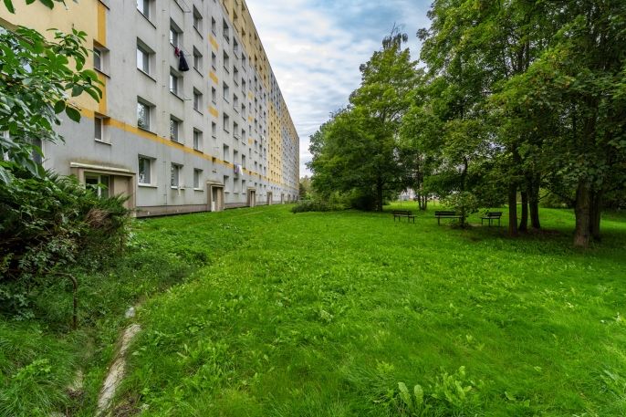 Pronájem, Byt 2+1, Česká Lípa
