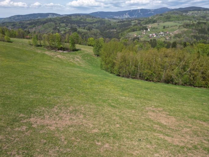 Prodej, Pole, Vysoké nad Jizerou