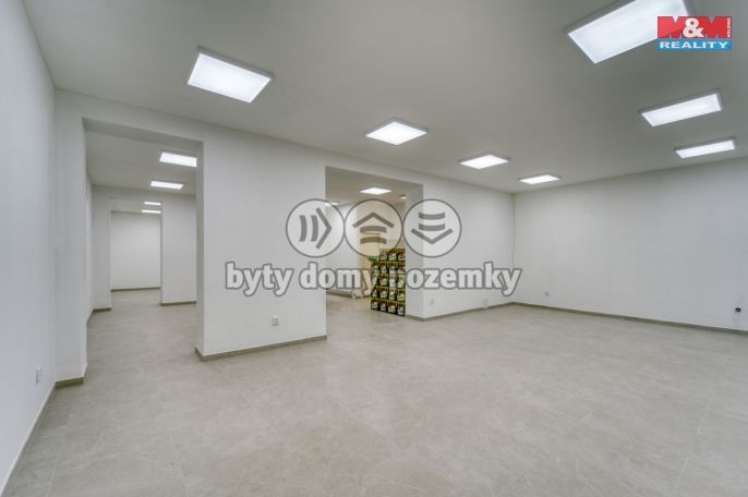 Pronájem, Obchod a služby, Plzeň