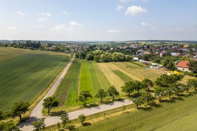 Prodej, Pole, Velký Újezd