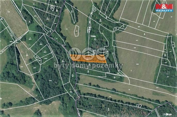 Prodej, Les, Chanovice