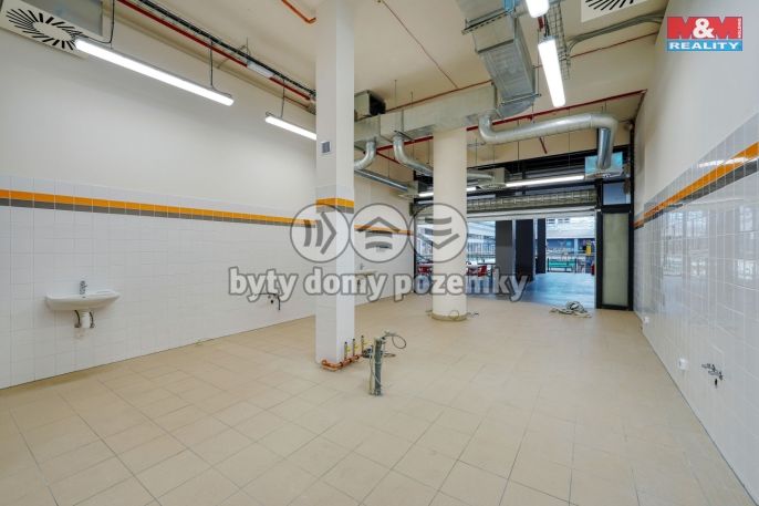 Pronájem, Restaurace, stravování, Plzeň