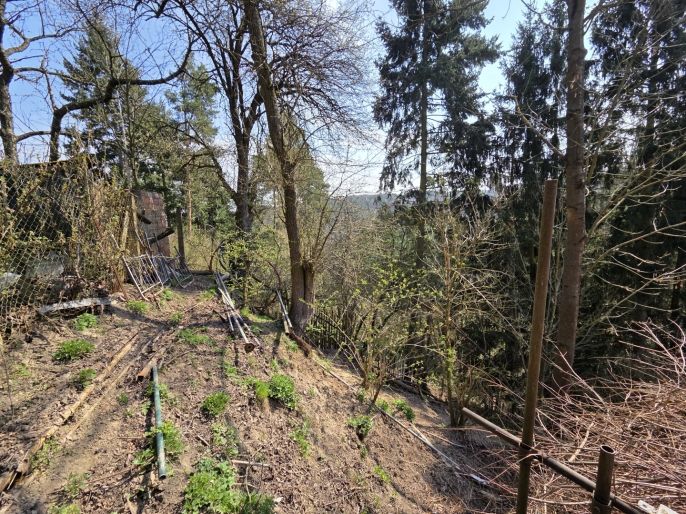 Prodej, Rodinný dům, Český Brod