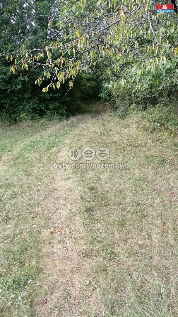 Prodej, Louka, Jenčice