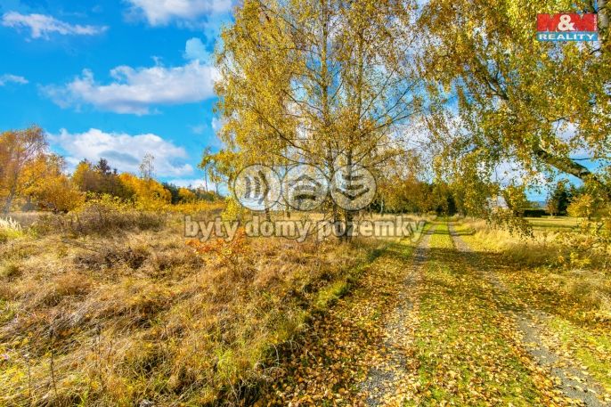 Prodej, Zahrada, Krsy