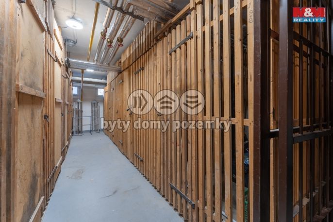 Pronájem, Byt 3+kk, Mladá Boleslav