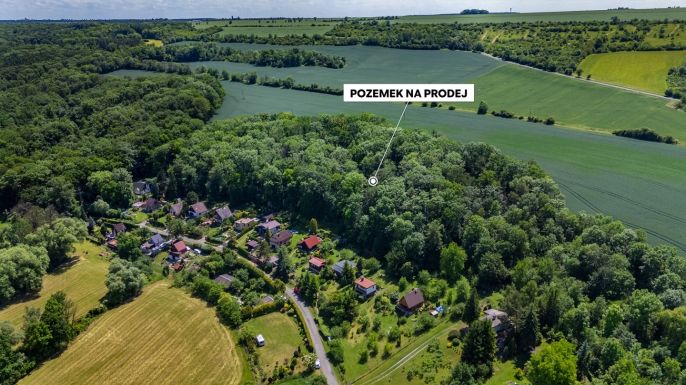 Prodej, Les, Libochovice